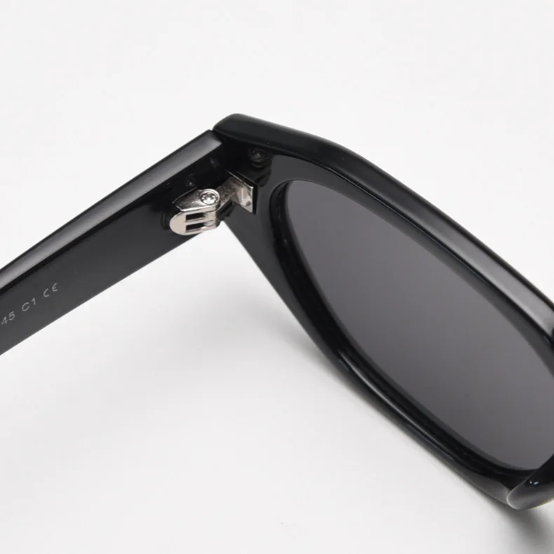 Competitive Price Cat Eye Oval Designer OEM China Wholesale TR90 Frame TAC Sunglasses Polarized