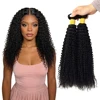 Kinky Curl