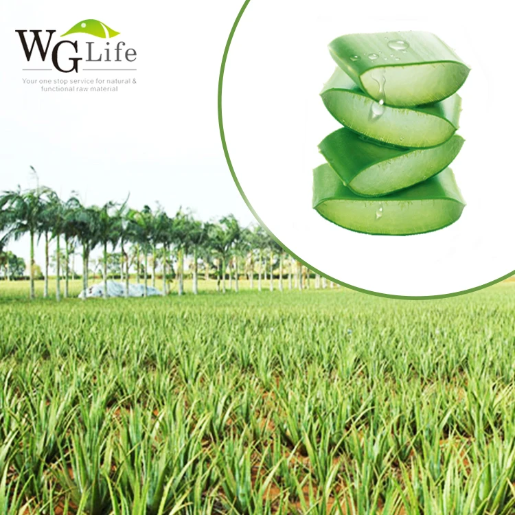 Wholesale Price Aloe Vera Gel Juice Buy Natural Aloe Drink Aloe Vera Gel Juice Aloe Juice Product On Alibaba Com