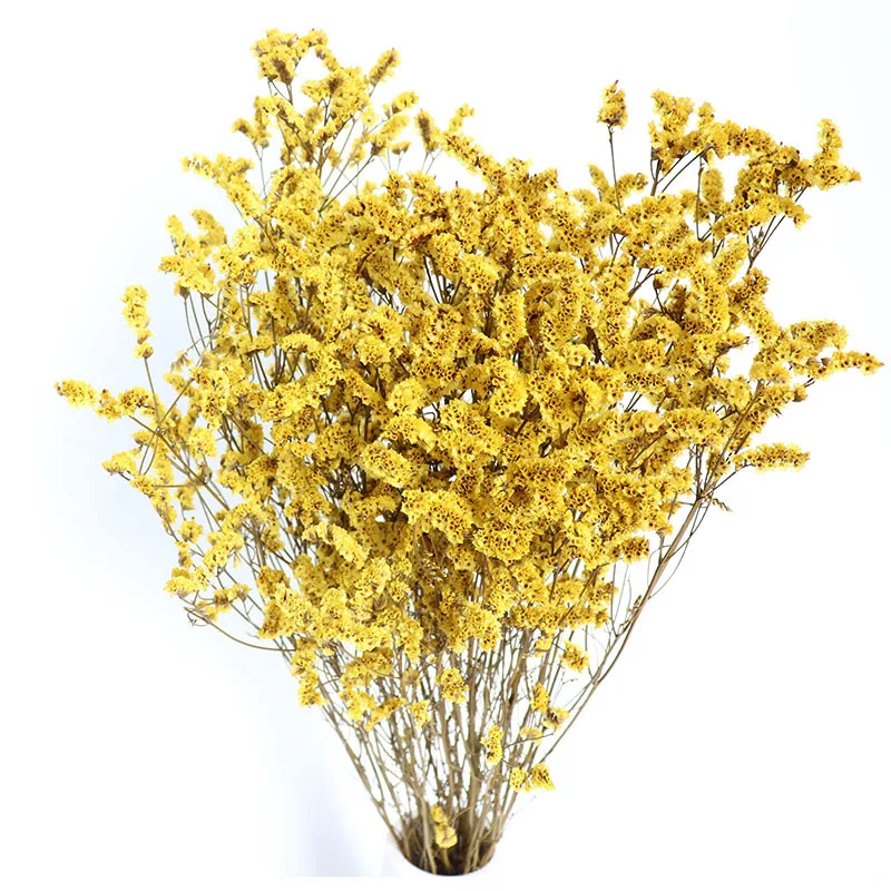 Family Decoration Flower Latest Hot Selling Top Quality All Kinds Of Home Decor Natural Dried Flowers Crystal Grass Plant Buy Decoration Dried Plants Crystal Grass Plant Preserved Plants For Home Decoration Family Wall Decorations