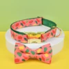 Collare per chili+papillon