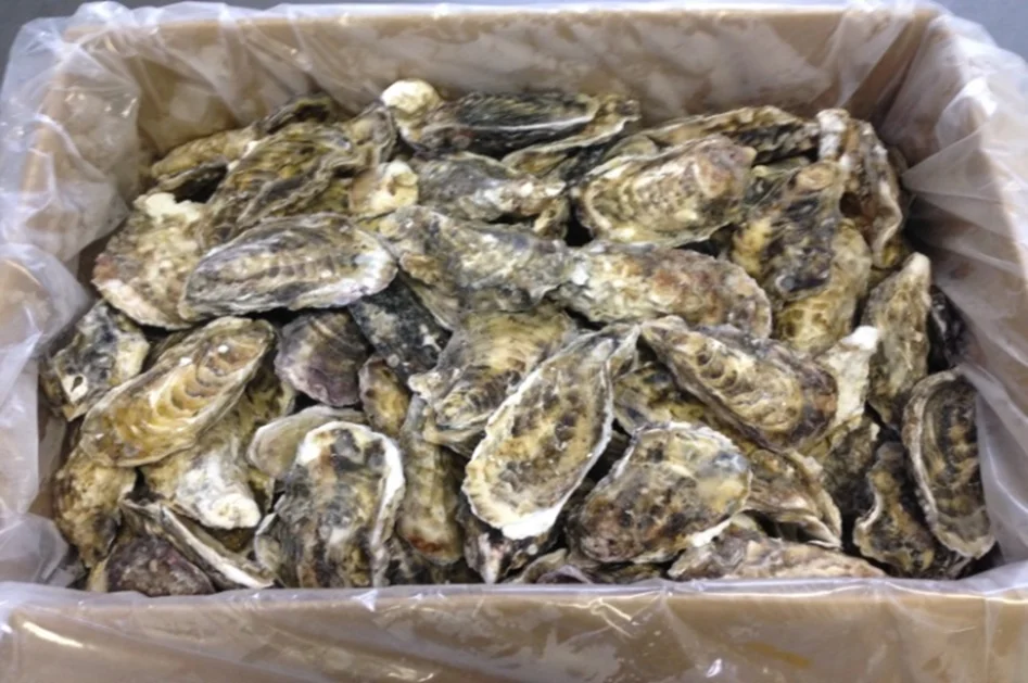 Boiled Meat Nutrition Facts Cooking Japanese Mini Frozen Oysters