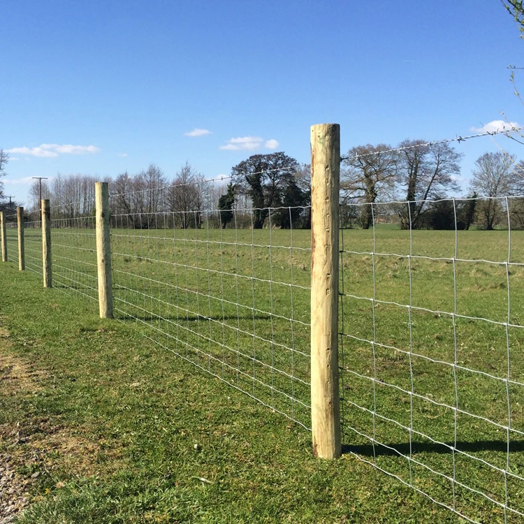 Factory Produced 8ft Galvanized Sheep Fence, Anti-rust and Anti-corrosion, Chain Link Fence with Uprights  Cattle Fence