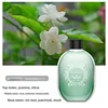 green jasmine essential oil
