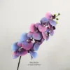 Blue-purple