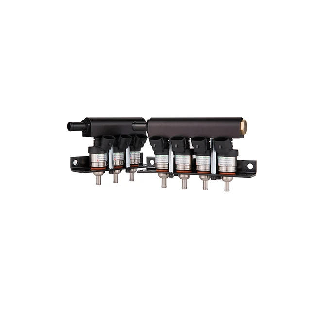 Private Label Supplement LPG Injector Conversion Kit Ready to Export Diesel Fuel Injector H2001 LPG/ CNG rail type Injector