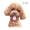 CC013