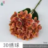 Hortensia 3D RHW Caramelo