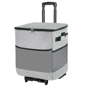 Eastshine Custom Logo Fashion-Classic PP Handheld Thermal Lunch Bag with Wheels for Outdoor Picnics Cooler Bag