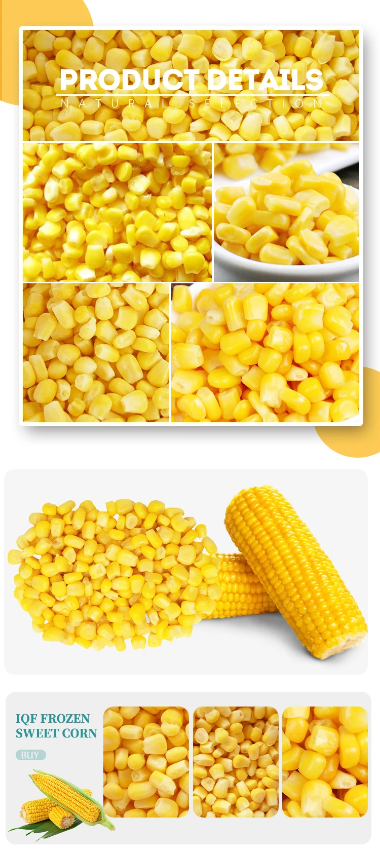 product premium quality frozen vegetables sweet corn kernel wholesale frozen vegetables-3