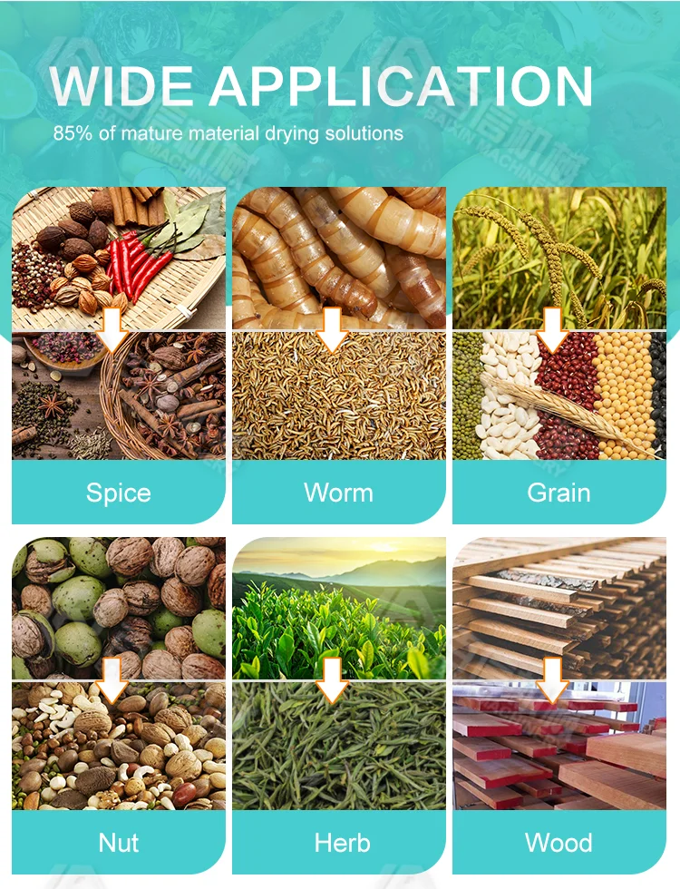 Mealworm BSF Larvae Maggot Drying Machine Microwave Tunnel Drying Equipment Insect Fish Feed Dryer Machine