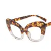 leopard clear
