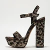 leopard