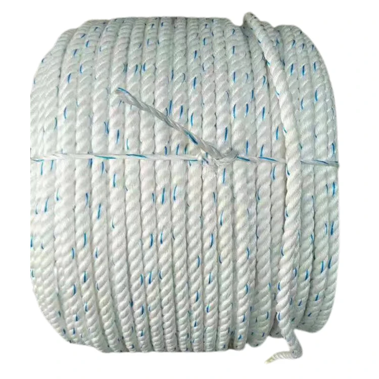 3 or 4 Strands Twisted pp Danline Fishing Rope for Fishing Industry