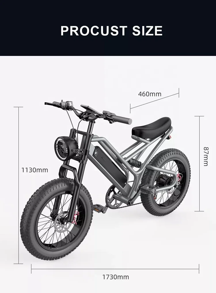 Electric City Bicycle with 20 Inch Fat Tires E-bike