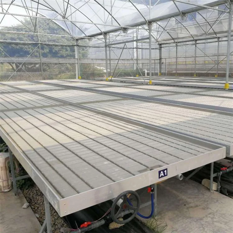 Hot Sale High Quality Hydroponic Greenhouse Rolling Growing Table and Flood Ebb Tray for Plants
