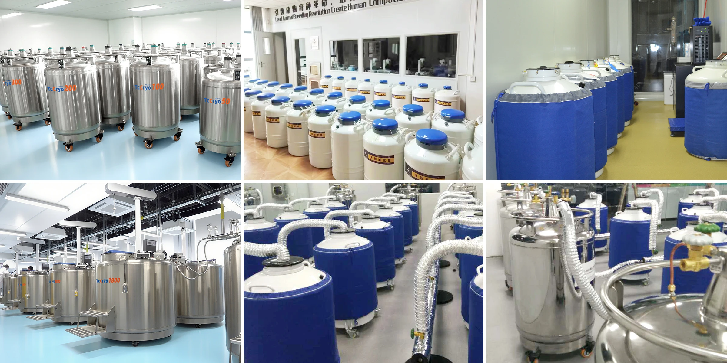 TcCryo cryo container