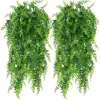 Vigne persane de 69 commandes