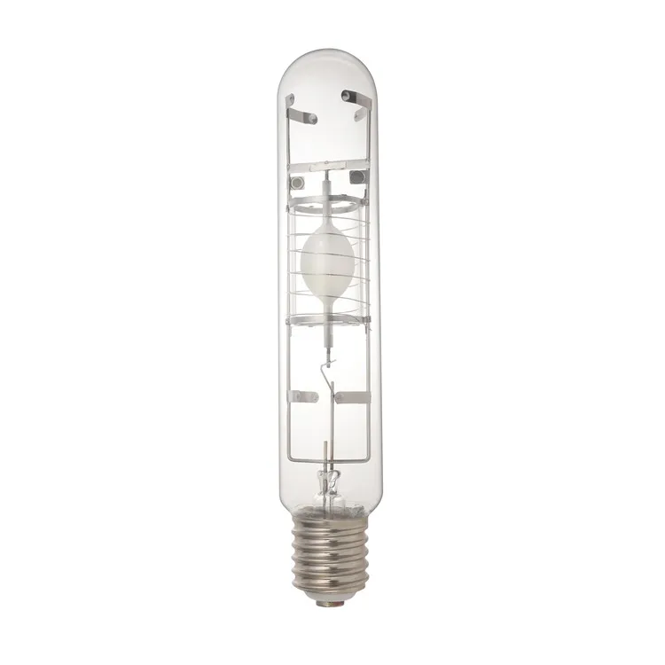 100 watt edison bulb dimmable