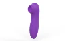 Viola