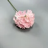 Pink2