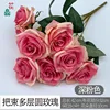 กุหลาบกลมเก้าหัวหลายชั้น สีชมพูเข้ม