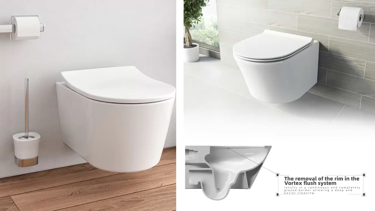 Rimless European Back To Wall Composting Bathroom Toilet Commodes