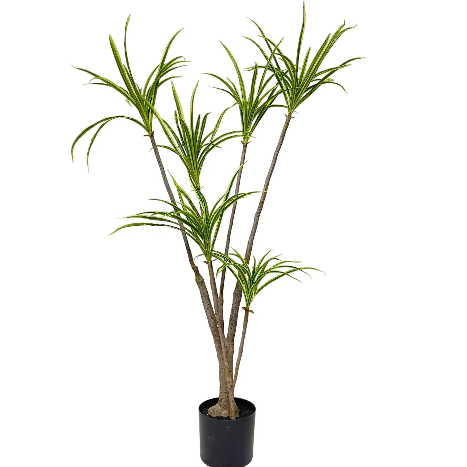 Dracaena marginata greenery houseplant highly realistic artificial ...