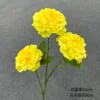 3-headed koi peony
