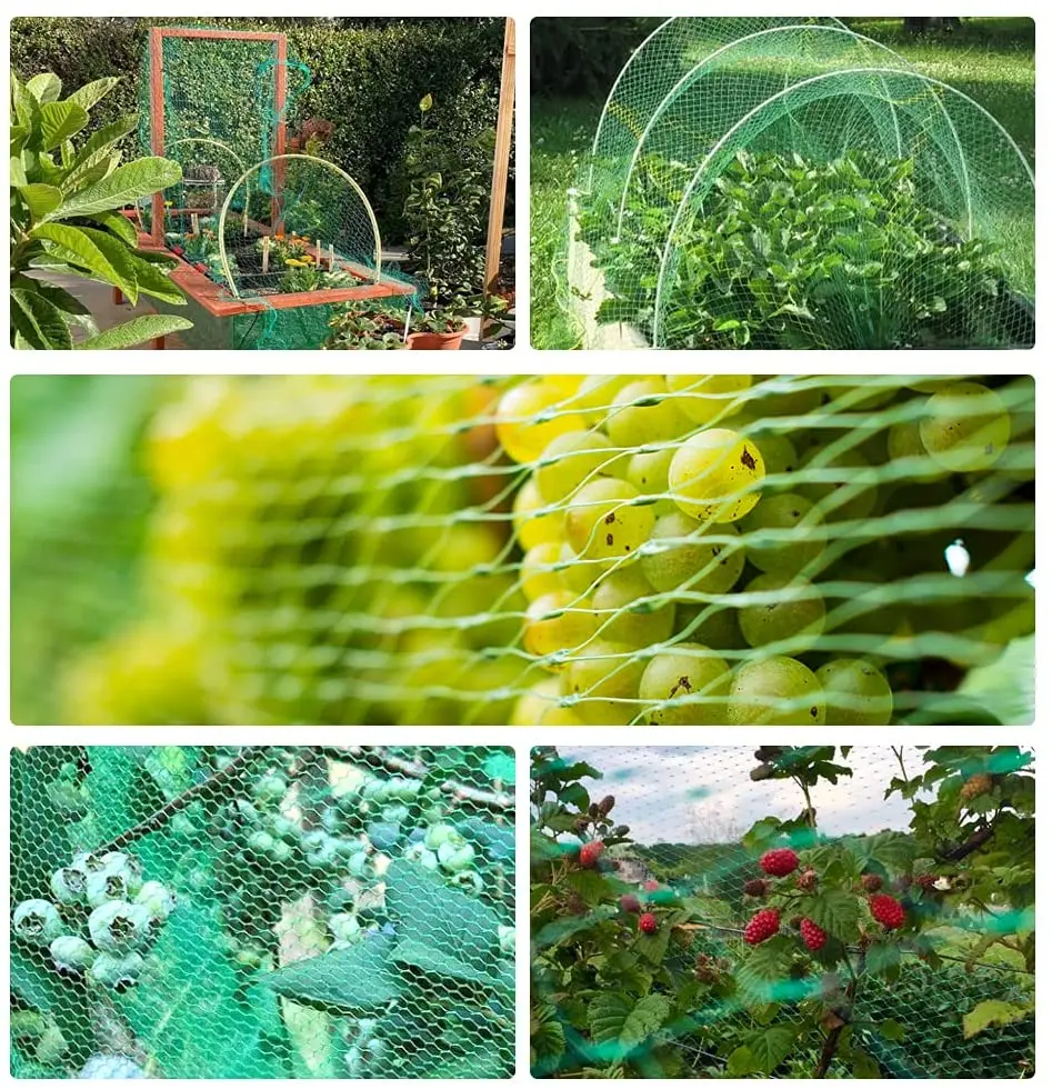 Poly Bird Net Plastic Knitted Knot Bird Net,Garden Bird Proof Netting - Buy Knitted ...