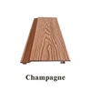 1st Generation Champagne 15cm Sample