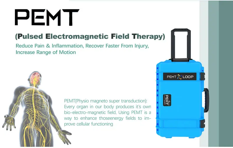 Pemf Equine Animals Pain Relief PEMF Magneto Loop Therapy for Bones Repair Physiotherapy Machine