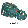 C1095