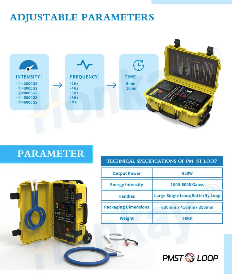 Pemf Device Pmst Loop Pulsed Field Therapy Machine With Large