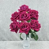 Rosa rossa