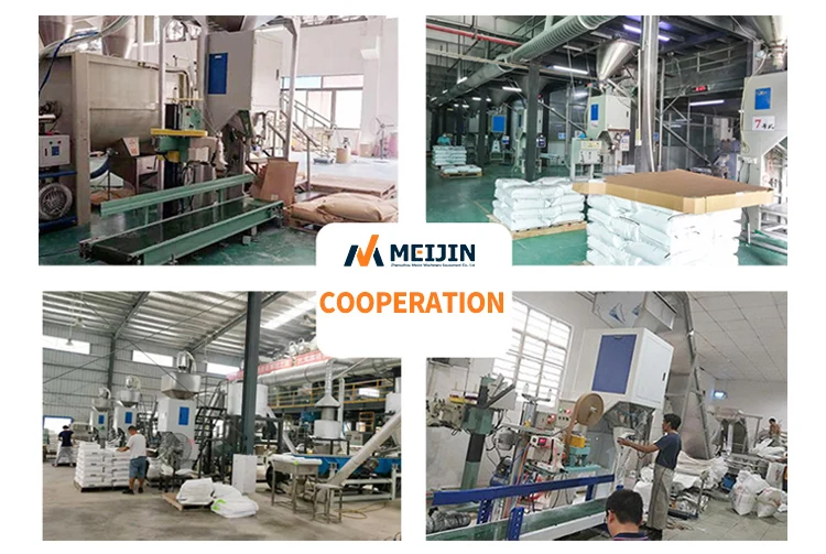 Hot Sale Multi-Function Soybeans Corn  Fertilizer Packaging Machine Granule Double Bucket Packing Machine supplier