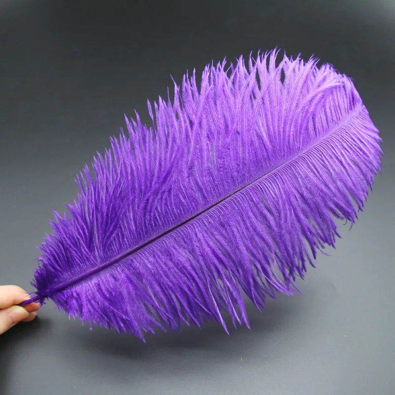 Multi-color Ostrich Large Feather for Wedding Decoration South Africa Bird Real  Art Carnival Costume