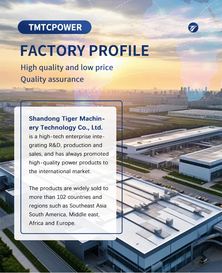 Small Wood Biomass Gasifier Generator for Household Power