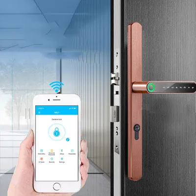 WiFi APP Electronic Smart Lock for Wood Aluminum Steel Doors-Double Sided Fingerprint & Zinc Alloy for Home Use