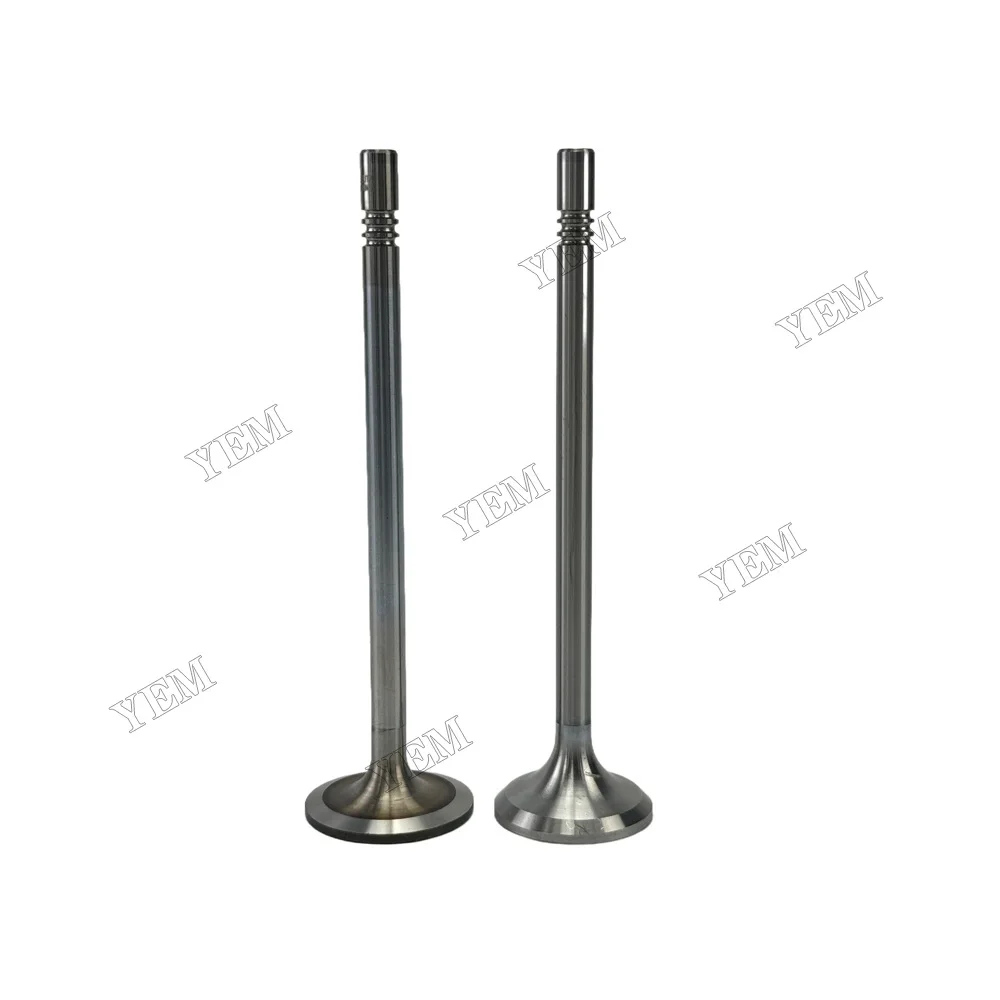 Exhaust Intake Valve Fit for Deutz TCD2013-L06-4V Engine 5
