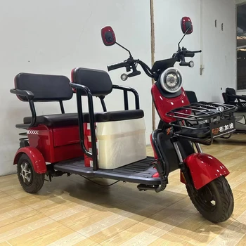 Powerful 800W Double-Row Leisure Tricycle without Canopy