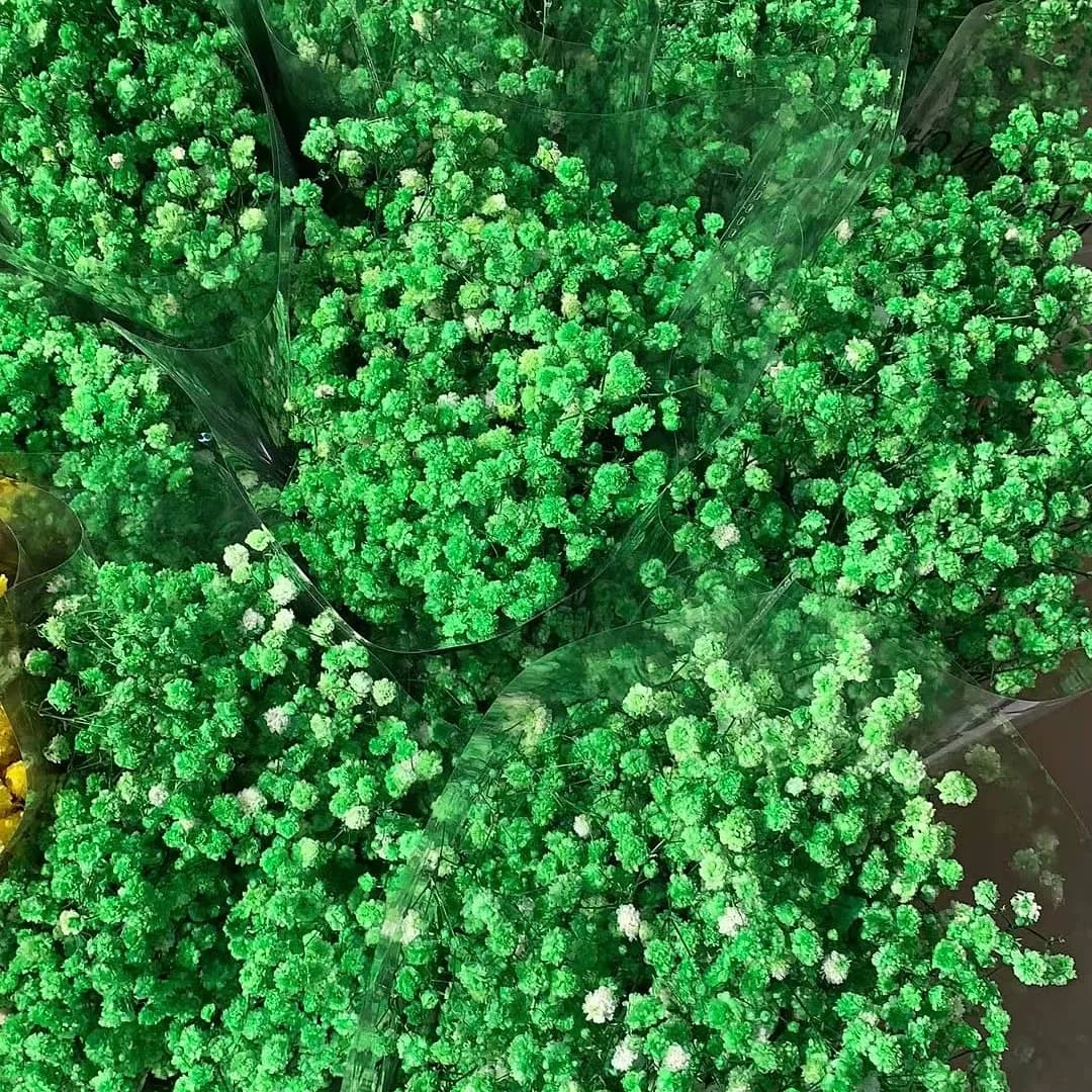 顶级销售保存婴儿呼吸婚礼装饰真实触摸满天星鲜花花束diy材料 Buy 婴儿呼吸满天星 真正的触摸婴儿呼吸 满天星product On Alibaba Com