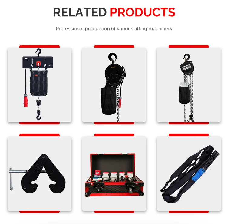 Factory Price Lighting and Audio Truss Motor Rigging Hoist 220v