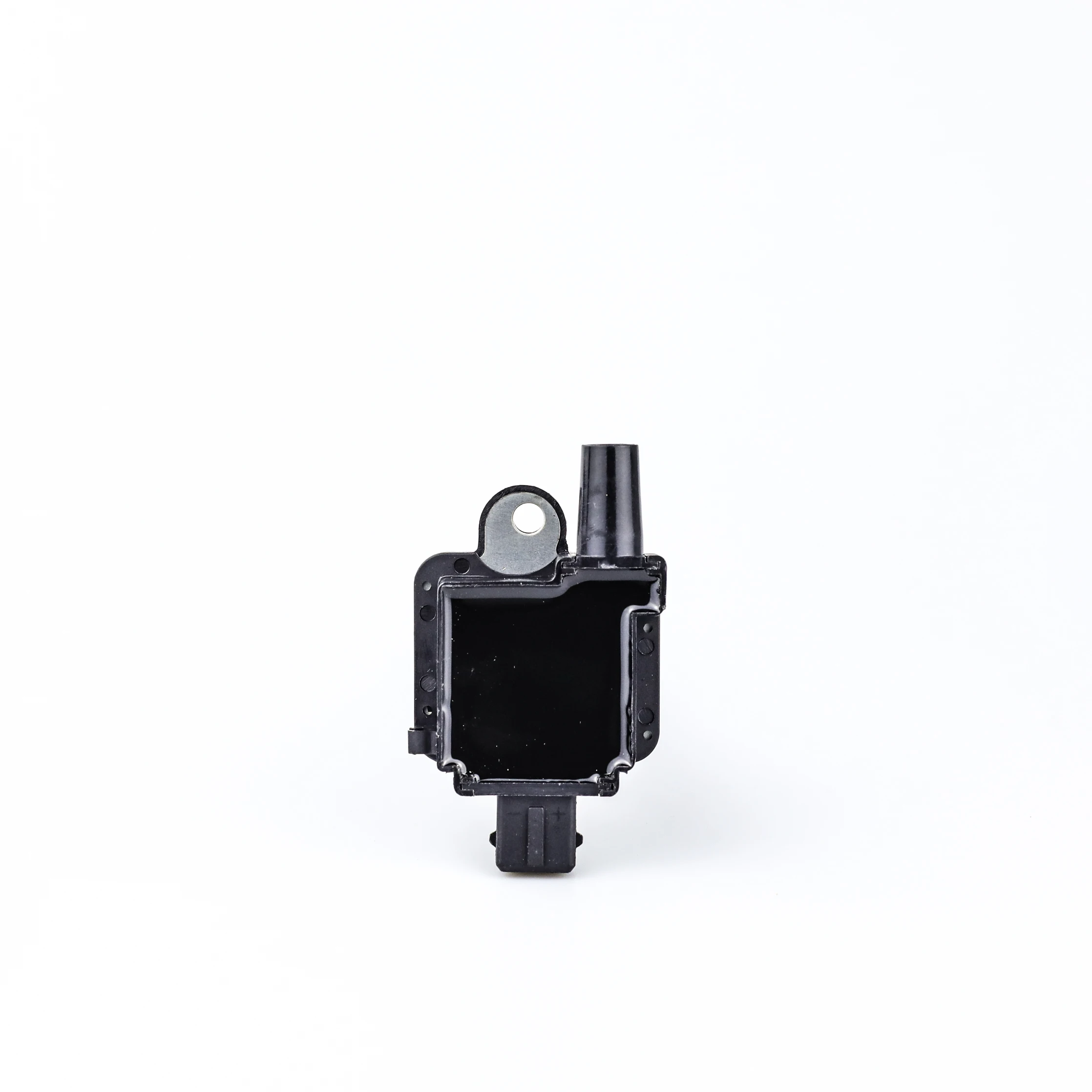 Ignition Coil - F01R00A007