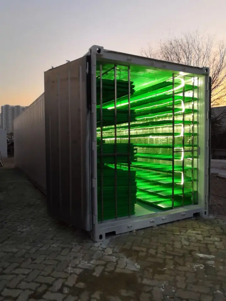 Container Type Automatic Barley Green Grass Hydroponic Fodder Solutions Price