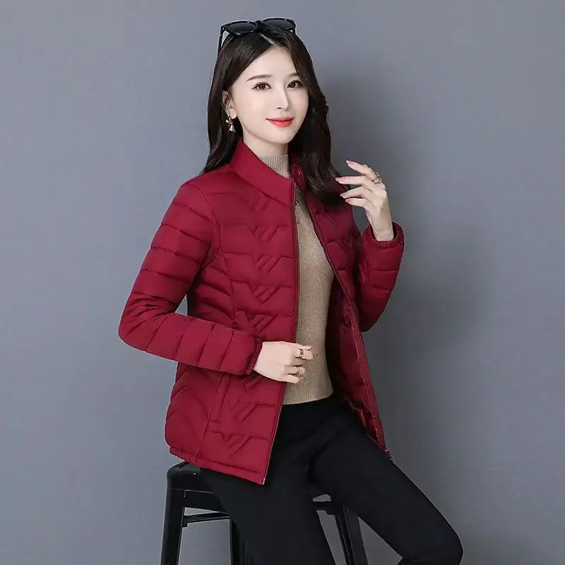 Giacca trapuntata calda da donna invernale imbottita casual da donna 2024, sottile, a maniche lunghe, con collo alto, cerniera, cappotto spesso_voghion.com