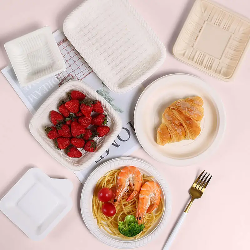 Biodegradable plates printed disposable manufacturing india