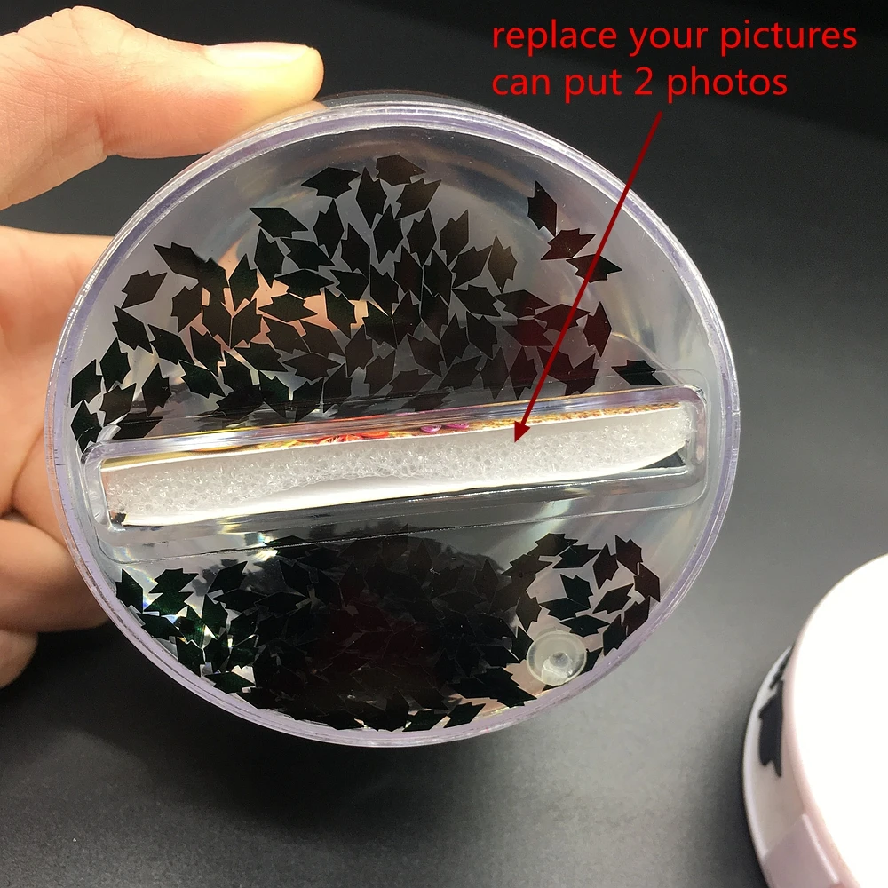 Customize Photo Insert Plastic Snow Globe With Snowflake Picture