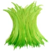 Verde Fruta