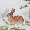 Pine Rabbit